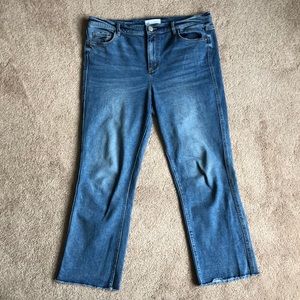 Ann Taylor LOFT | “Vintage Straight” Jeans | 10/30